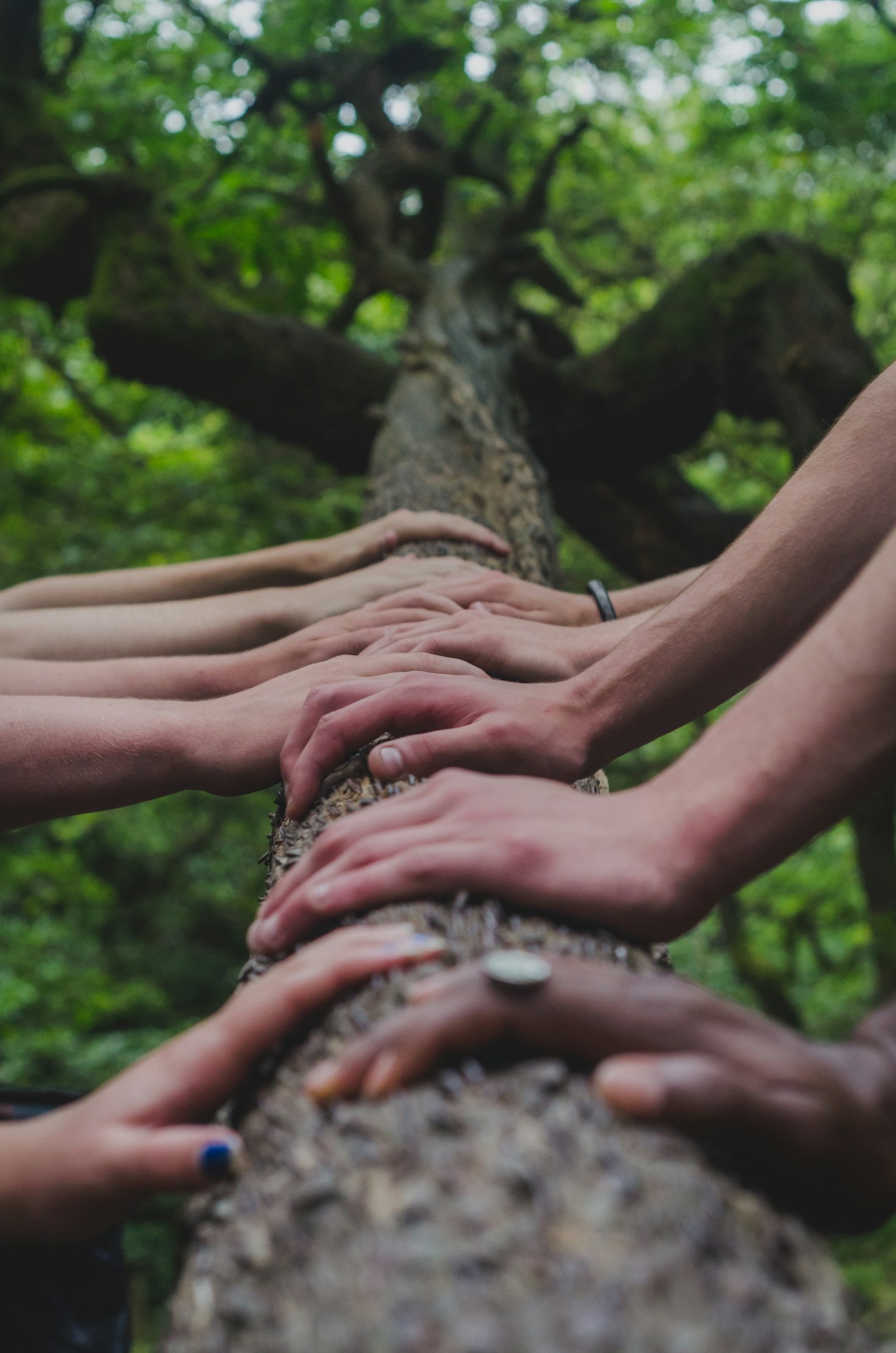 Truth and Connection: Building Authentic Relationships